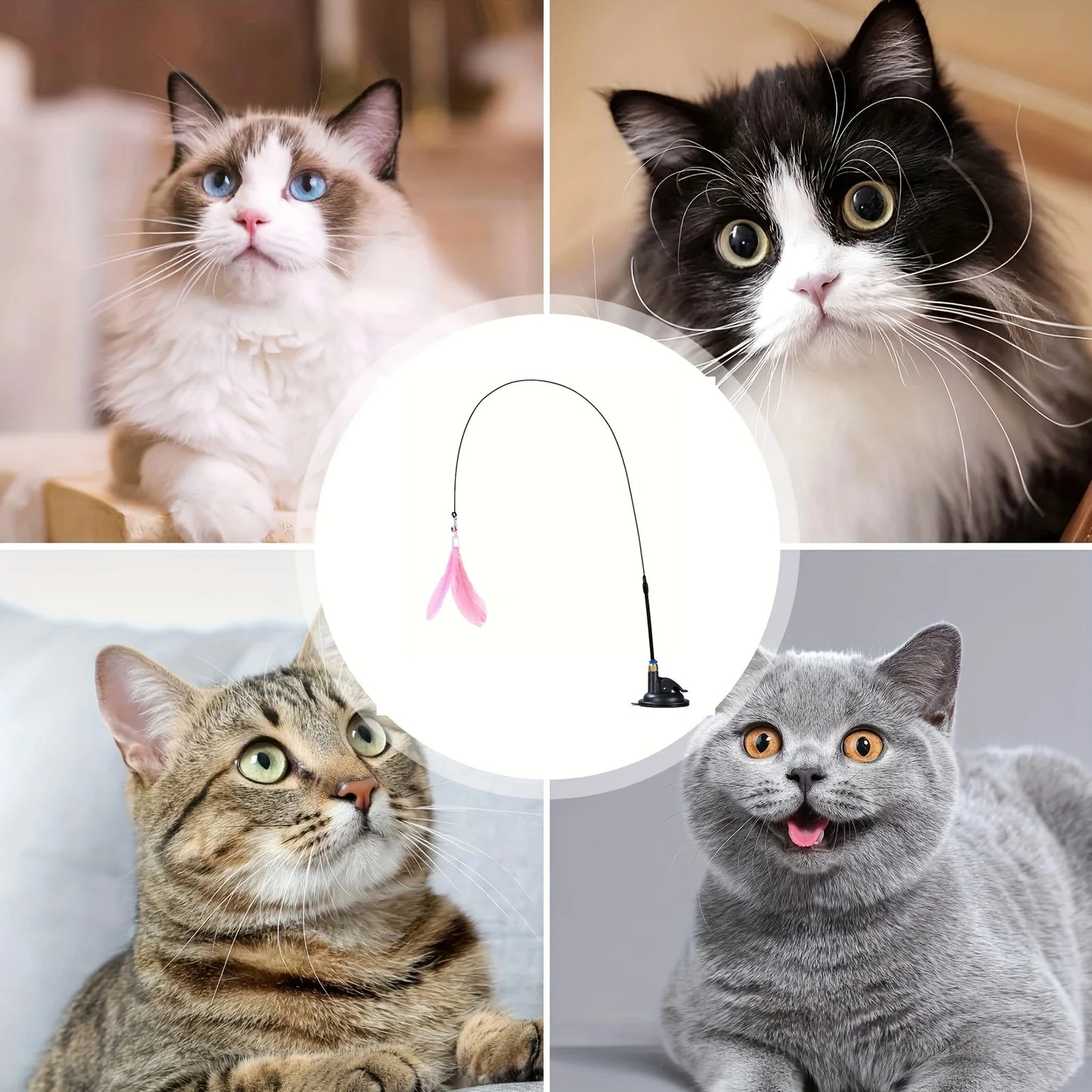 Interactive Cat Teaser Wand with Suction Cup