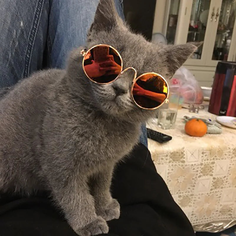 Vintage Round Small Cat/Dog Sunglasses