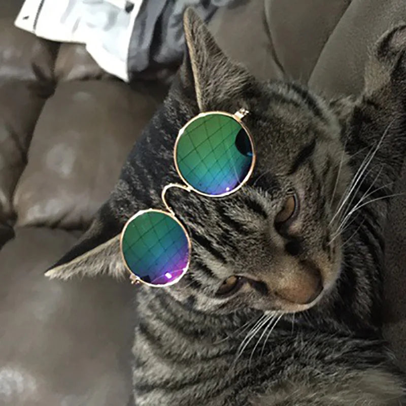 Vintage Round Small Cat/Dog Sunglasses