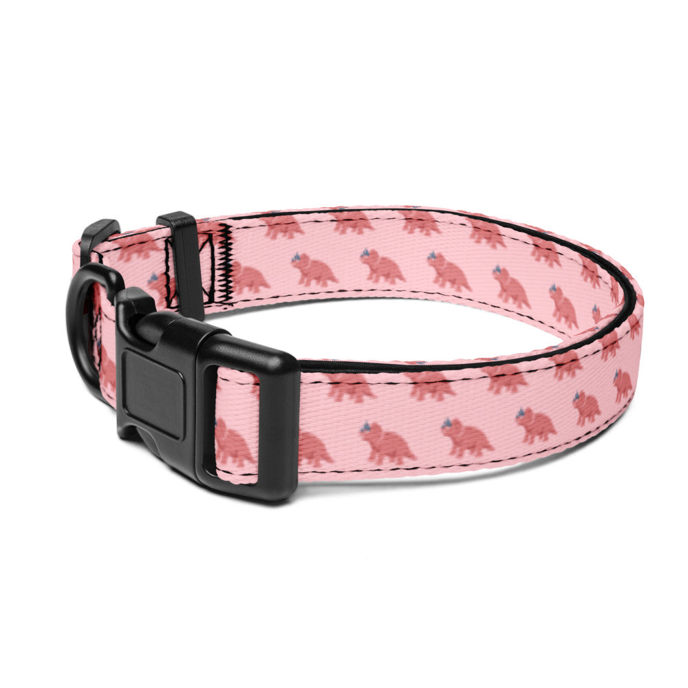 Dinosaur Collar (Pink)