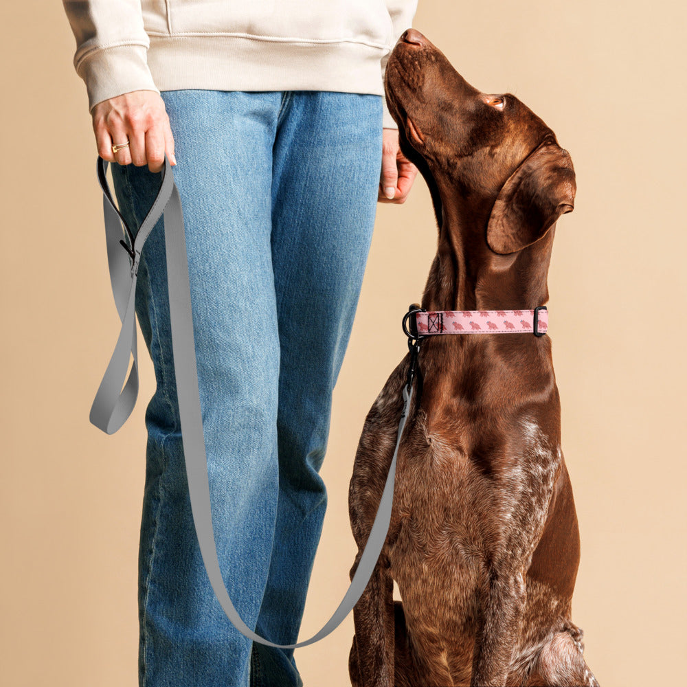 Dinosaur Collar (Pink)