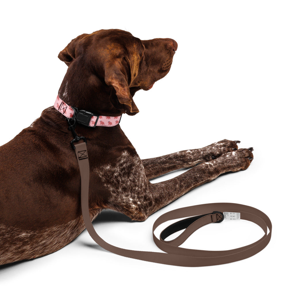 Dinosaur Collar (Pink)