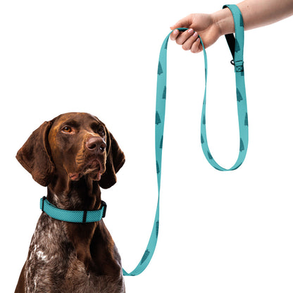 Christmas Tree Collar & Leash Set